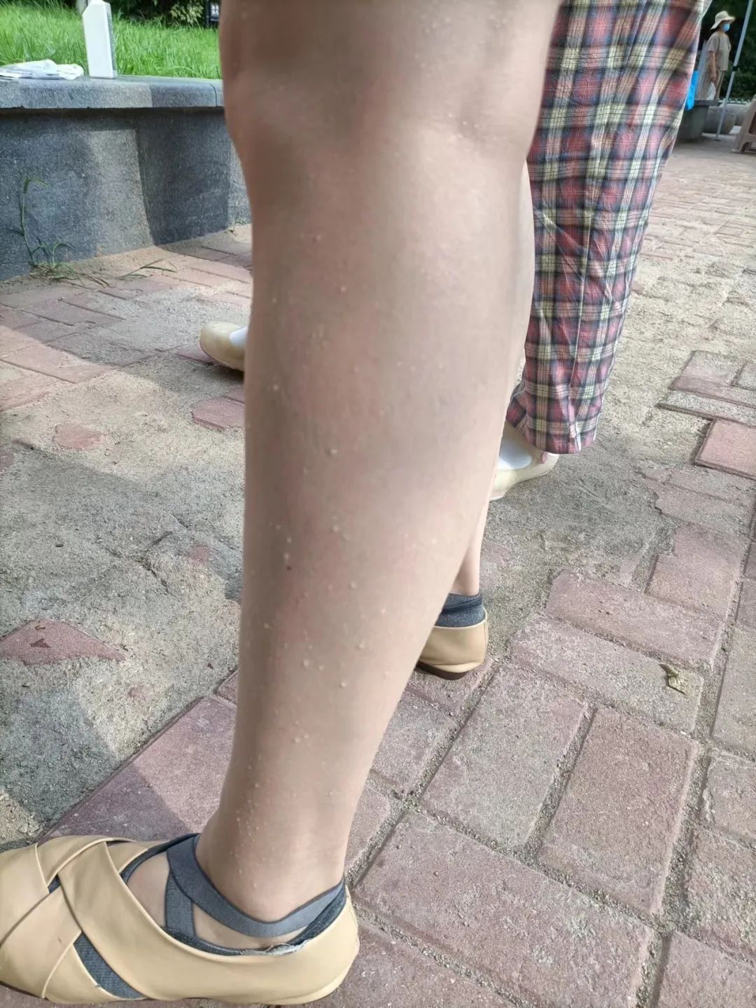 微信图片_20220703162612.jpg
